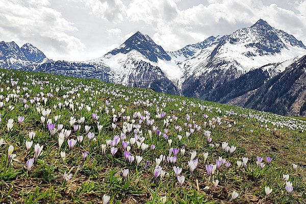 Berge & Natur im Ötztal